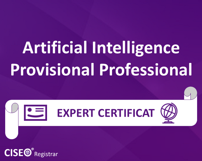 PROVISIONAL ARTIFICIAL INTELLIGENCE PROFESSIONAL CERTIFICAT
