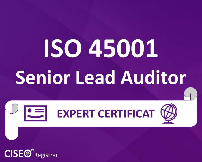 ISO 45001 SENIOR LEAD AUDITOR CERTIFICAT